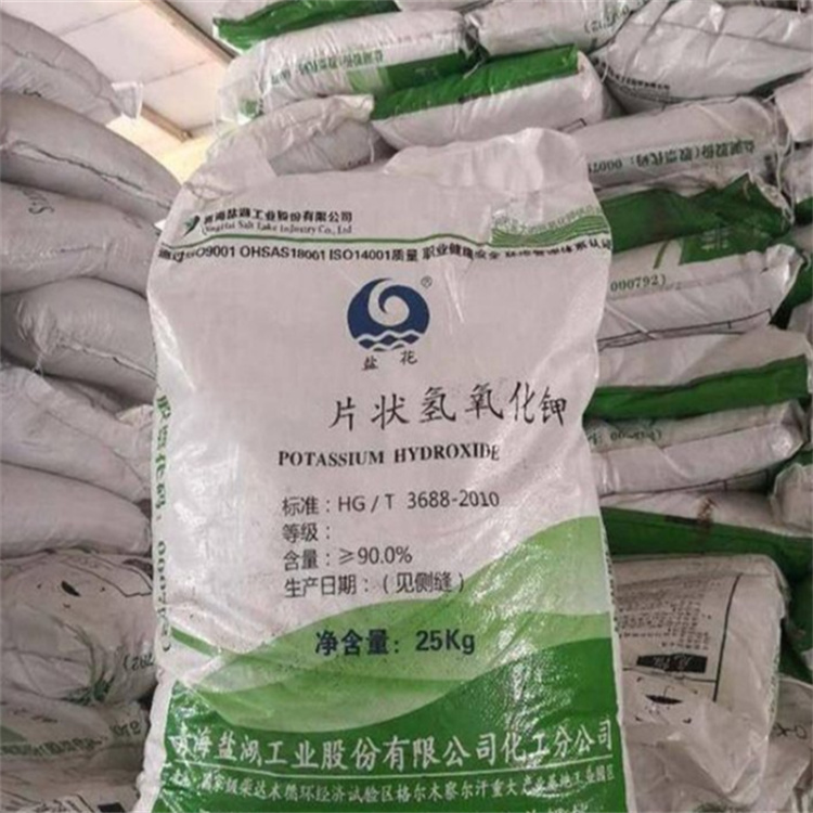 美女插爽视频网站